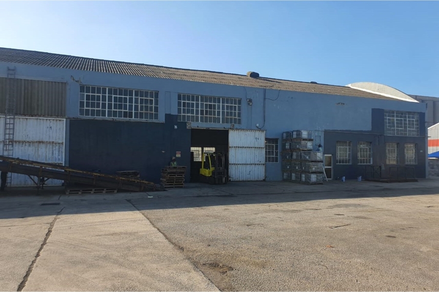 To Let commercial Property for Rent in Deal Party Eastern Cape